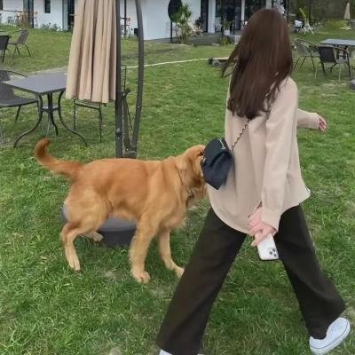 恶客 在线点播封面
