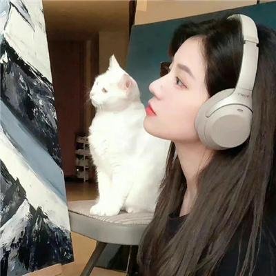 超女·强势回归 在线点播封面